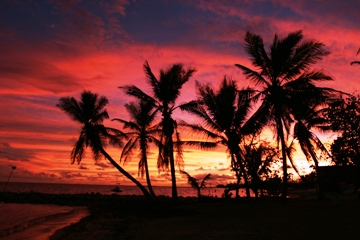 Featured is a photo of a Key West Sunset ... an every day celebration in Key West ... You can see why!
